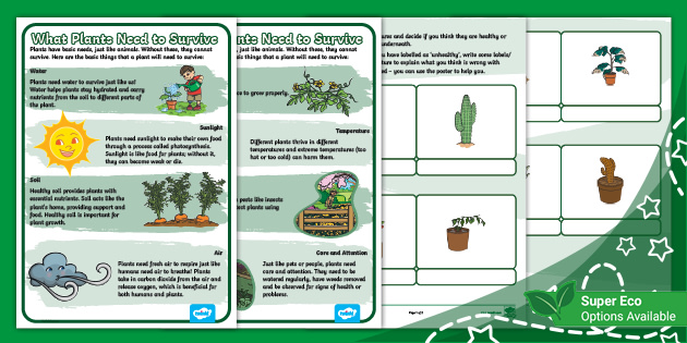 Plant Doctor: What Do Plants Need? (Ages 6 - 7)