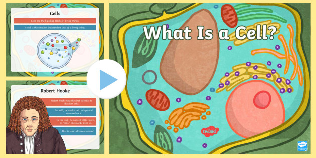 What Is A Cell Powerpoint Cells Powerpoint Twinkl