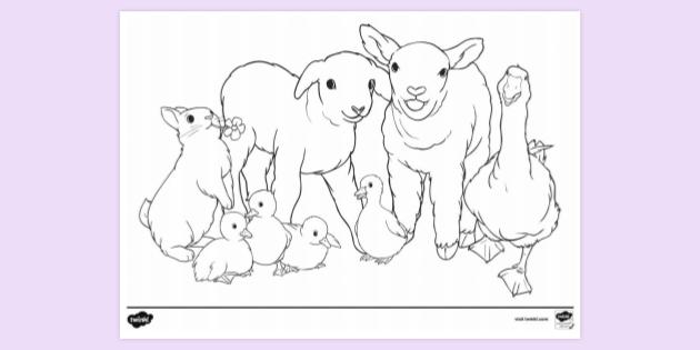 8800 Collections Coloring Pages Spring Animals  Best Free