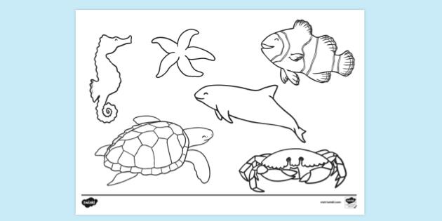 FREE! - Baby Sea Animals Colouring Page - EYLF - Parents