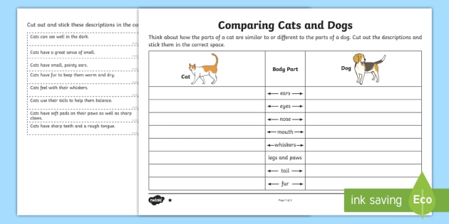 comparing-the-structure-of-cats-and-dogs-worksheet-worksheet