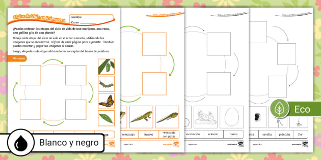 Hojas De Trabajo Con Actividades De Primavera Dibujo Para Colorear