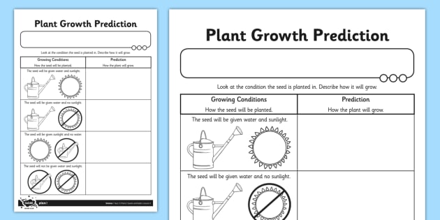 Plant Growth Observation Chart