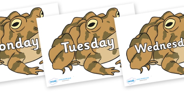 Days of the Week on Toad