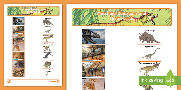 matching dinosaurs and their fossils worksheets