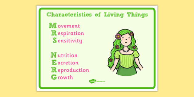 Mrs Nerg Life Processes Display Posters Mrs Nerg Mrs Nerg - 