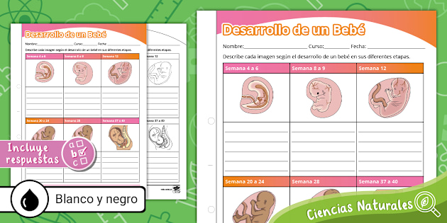 Guía Desarrollo Bebé