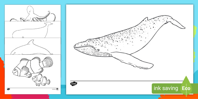 underwater sea creatures coloring pages