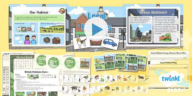 Science Living Things And Their Habitats Local Habitats Year 2 Lesson 2