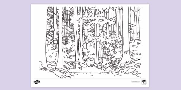 FREE! - Daytime Woodland Colouring Sheet | Colouring Sheets
