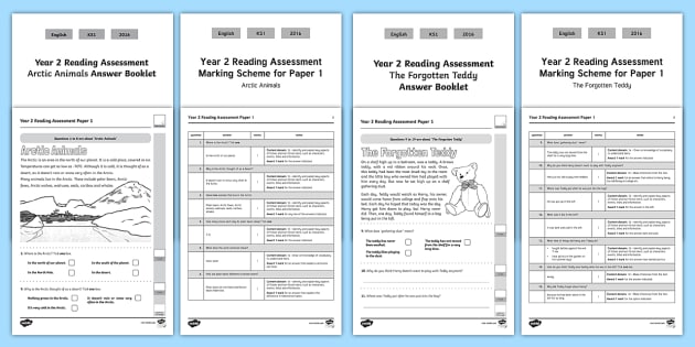 Assessment term paper