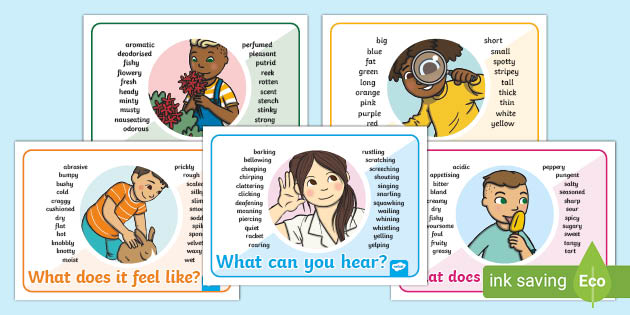 KS1 Senses Word Mat