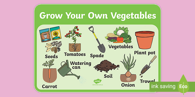 Free Grow Your Own Vegetables Word Mat Teacher Made