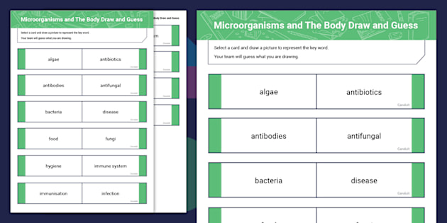 Microorganisms and The Body: Draw and Guess