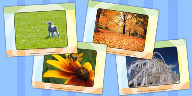 4 Seasons Display Photos Teaching Resource Teacher Made