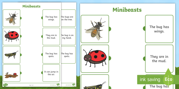 Minibeasts Matching Worksheet - Worksheet, reading, sentences, eyfs, word