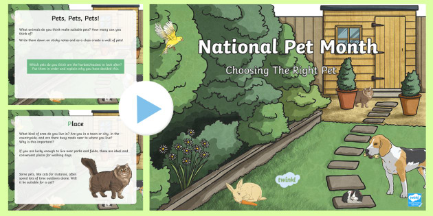 KS2 National Pet Month: Choosing The Right Pet PowerPoint