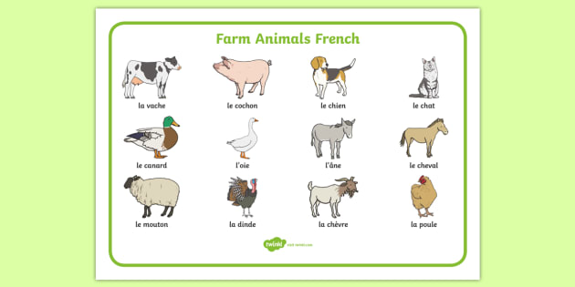 First 100 Words Premiers 100 Mots French/English: Bilingual Word Book For  Kids, Toddlers (Animals, Fruits, Vegetables, Clothes, Opposites, Colors) |  