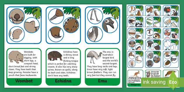 Australian Animal Parts Matching Cards (teacher made)