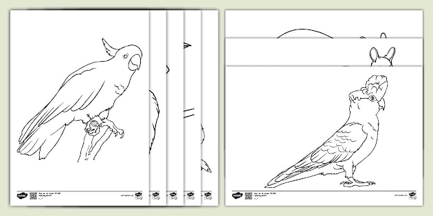 australian-animal-outlines-aboriginal-animal-templates