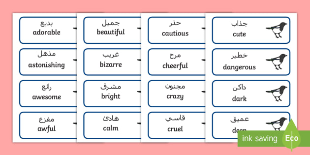 Magpie Wall Adjectives Word Cards Arabic English