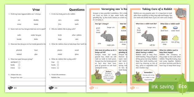how to look after a rabbit differentiated reading comprehension activity