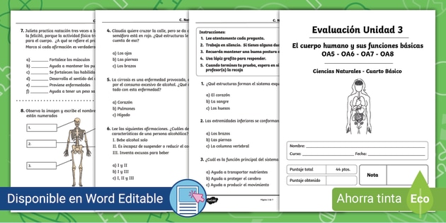 Examen De Ciencias Naturales Tercer Grado