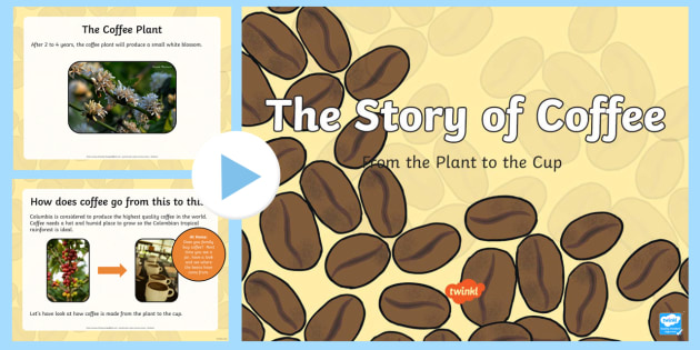 FREE! - The Story of Coffee PowerPoint (teacher made)