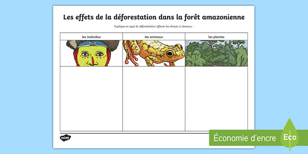 Fiche d'activités : Les conséquences de la déforestation