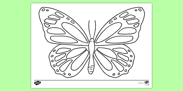 Big Butterfly Stock Illustrations – 5,769 Big Butterfly Stock  Illustrations, Vectors & Clipart - Dreamstime