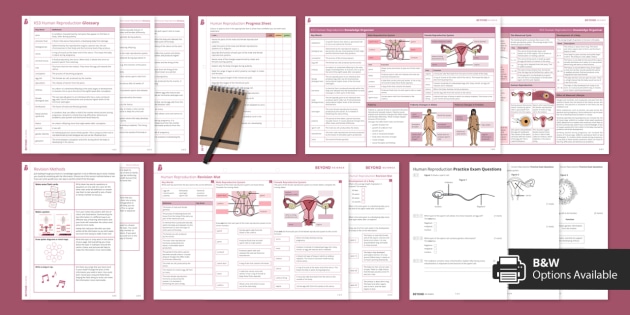 Ks3 Human Reproduction Revision Pack Biology Beyond 9073