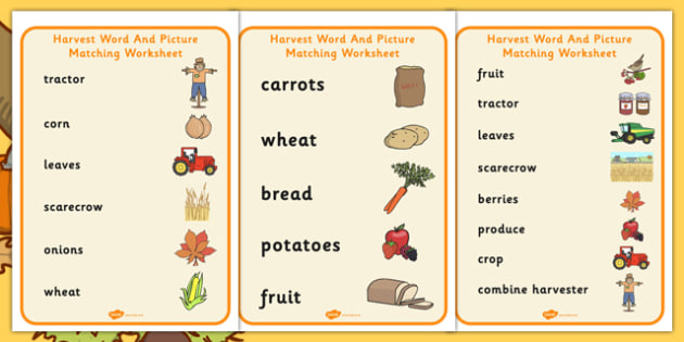 Harvest Word And Picture Matching Worksheet - autumn, seasons
