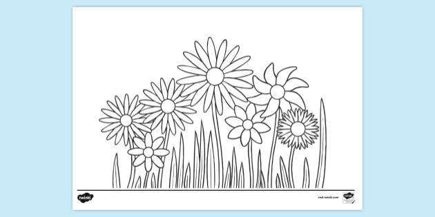 FREE! - Plant Colouring Page | Colouring Sheets