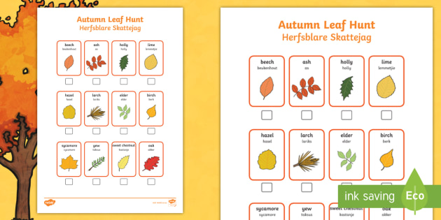 Autumn Leaf Hunt Checklist English/Afrikaans (teacher made)