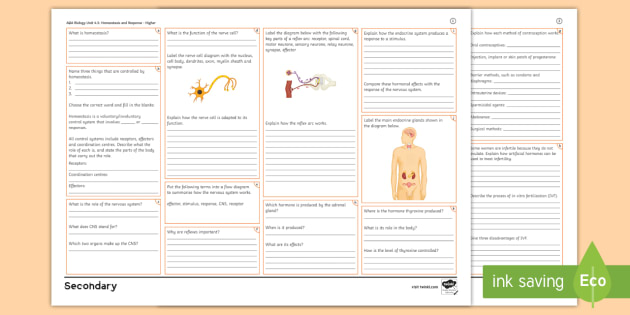 Aqa Biology Combined Unit 5 Homeostasis And Response Higher Revision 1733