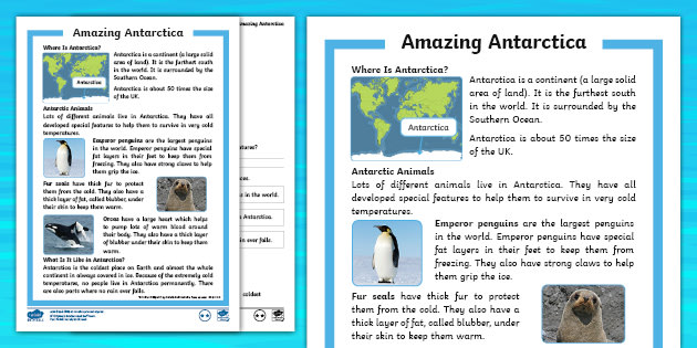 Year 2 Amazing Antarctica Comprehension | Reading Worksheet