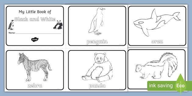 My Little Book of Black and White Worksheets (teacher made)