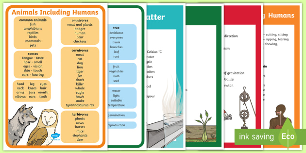 Year 1 To 6 Scientific Vocabulary Poster Resource Pack - Year 3 Forces