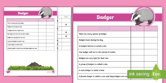 Badger True or False Activity Grades 46 (teacher made)