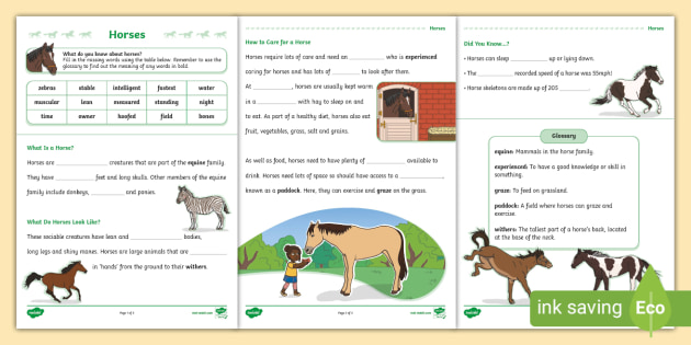 KS1 Horse Cloze Activity (teacher made) - Twinkl ks1-horse-cloze-activity-teacher-made-twinkl