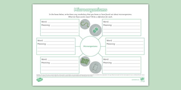 Microorganism Vocabulary Mind Map