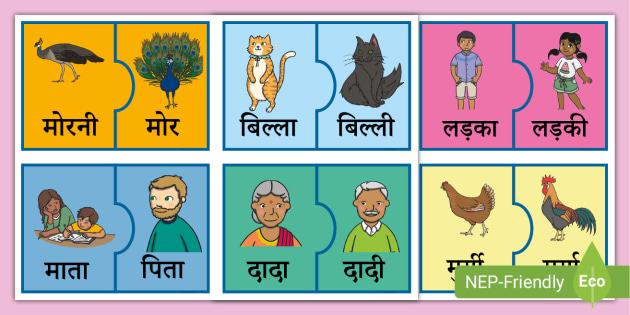 लिंग Or Gender In Hindi Puzzle Game Teacher Made