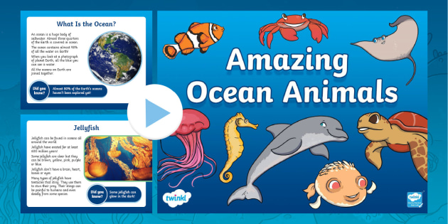KS1 Under the Sea Animals PowerPoint | Twinkl (teacher made)
