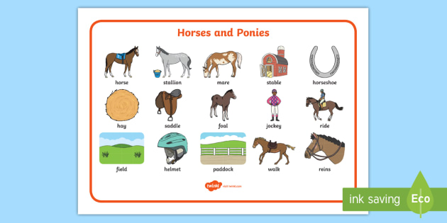 horses and ponies word mat esl animals vocabulary