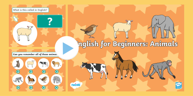 English for Beginners: Animals (teacher made)