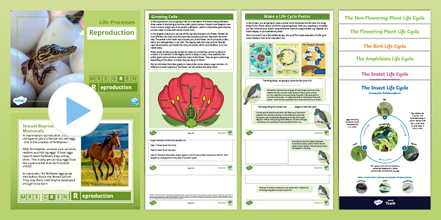 Reproduction In Organisms Gcse Biology Revision Notes Communities