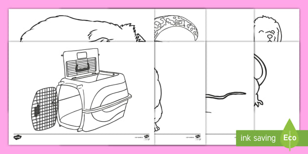 The Vets Aistear Colouring Pages (teacher made)