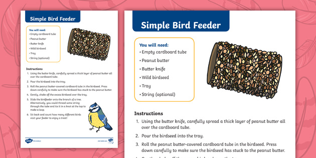 Simple Bird Feeder Craft Instructions Teacher Made