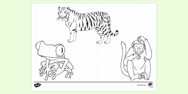 47 Collections Jungle Animal Coloring Pages  HD