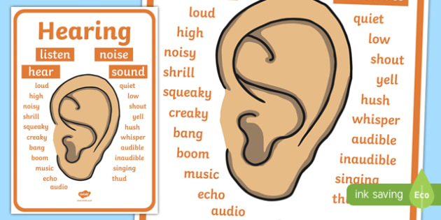 Hearing Vocabulary Display Poster (teacher made)